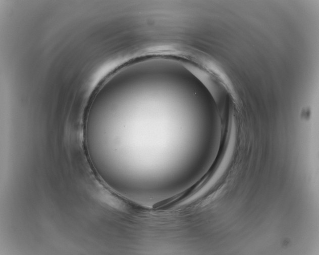 X0000091941328200709051514