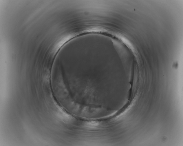 X0000091941329200709051514