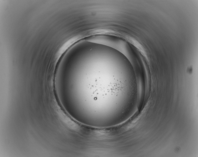 X0000091941330200709051514