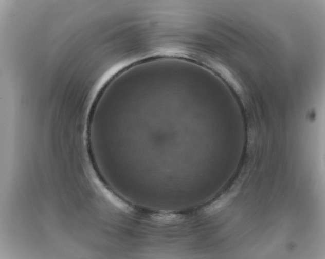 X0000091941331200709051514