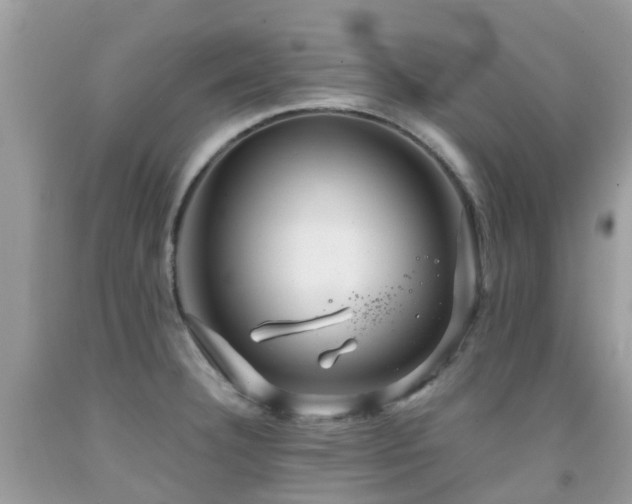 X0000091941332200709051514