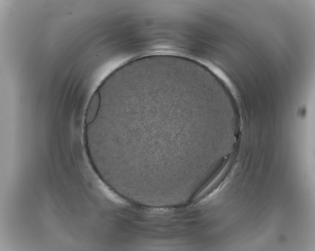 X0000091941333200709051514