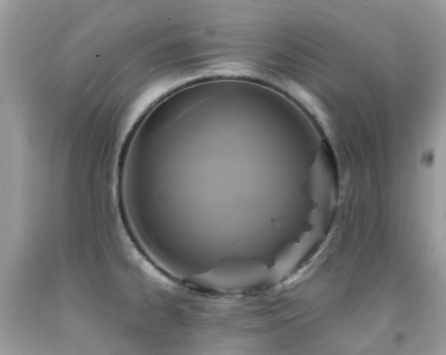 X0000091941334200709051514