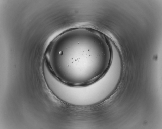 X0000091941336200709051514