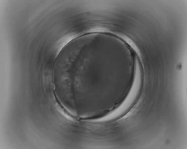 X0000091941337200709051514