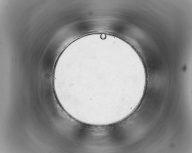 X0000091941338200709051514