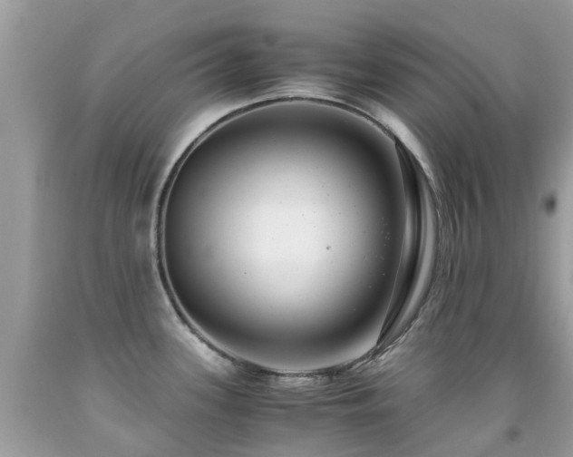 X0000091941339200709051515