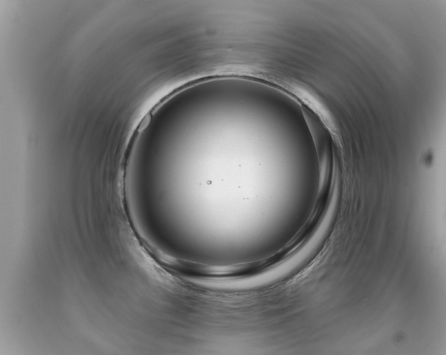 X0000091941340200709051515