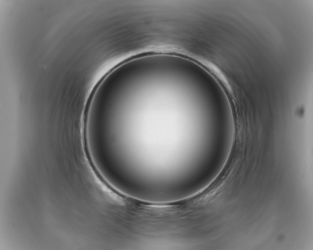 X0000091941343200709051515