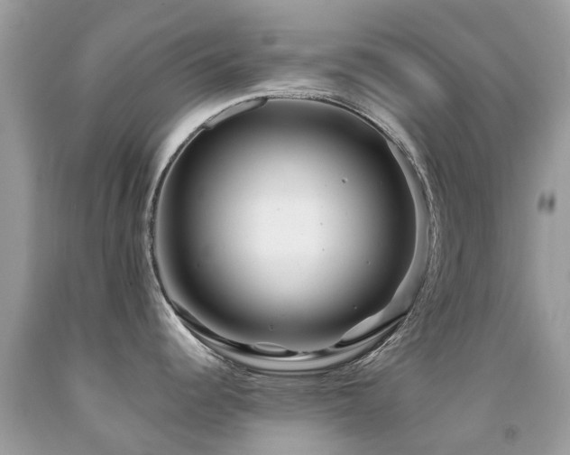 X0000091941344200709051515