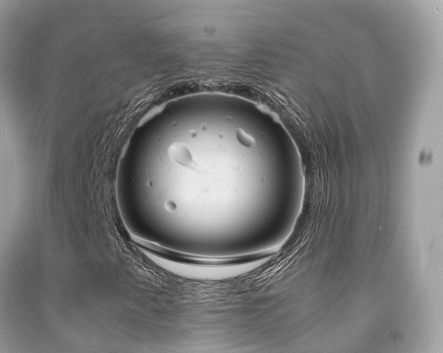 X0000091941345200709051514