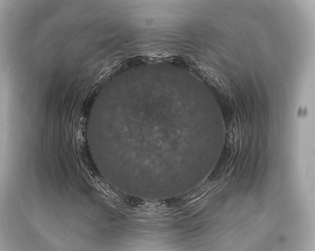 X0000091941346200709051514