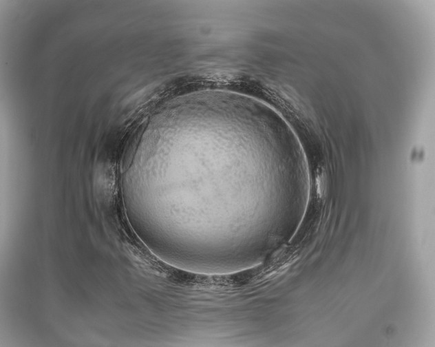 X0000091941347200709051514