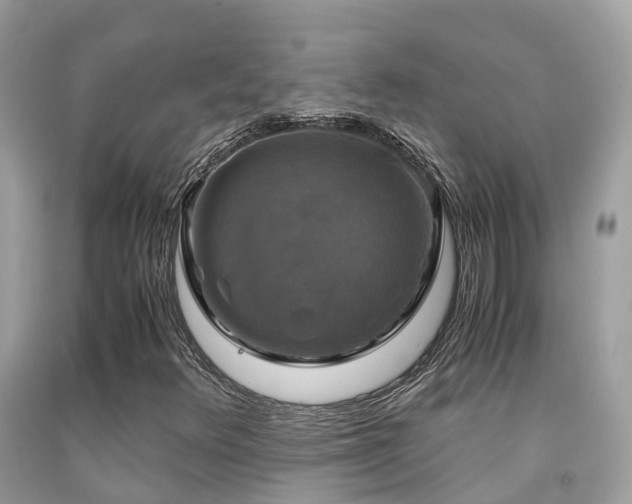 X0000091941348200709051514