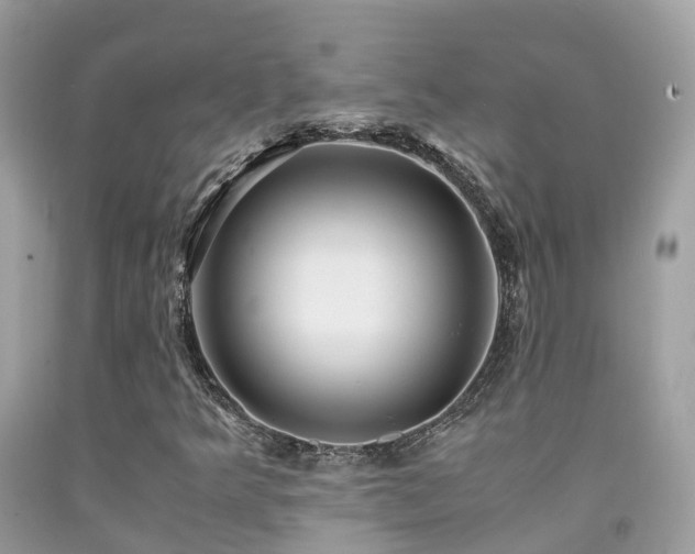 X0000091941349200709051514