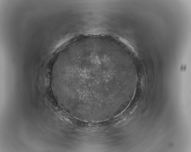 X0000091941350200709051514