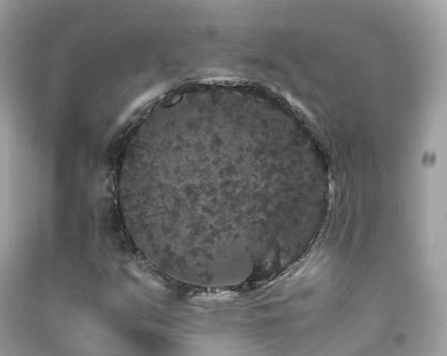 X0000091941351200709051514