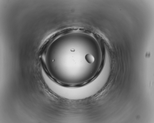 X0000091941352200709051514