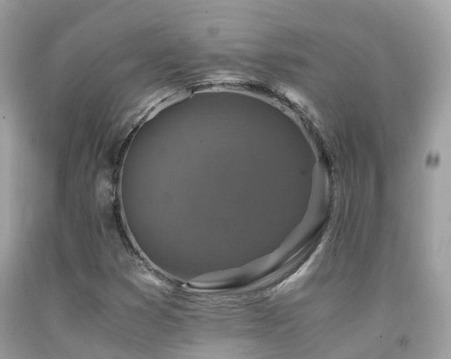 X0000091941353200709051514