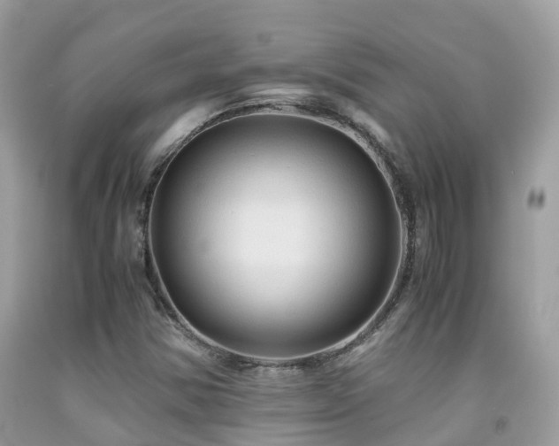 X0000091941354200709051514