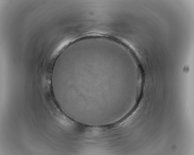 X0000091941355200709051514