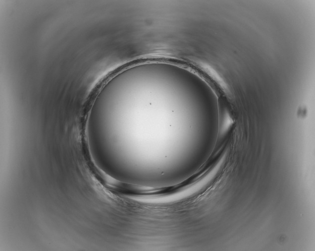 X0000091941356200709051514