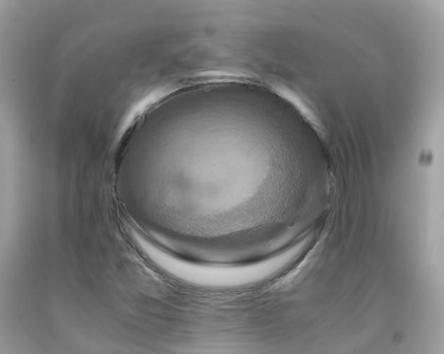 X0000091941357200709051514