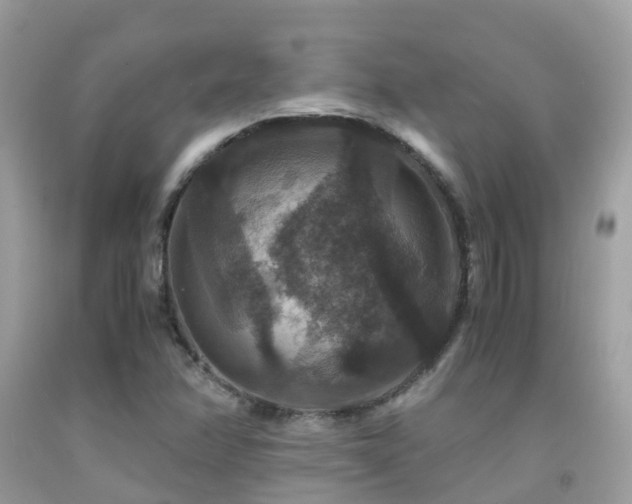 X0000091941358200709051514