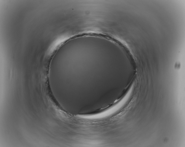 X0000091941359200709051514