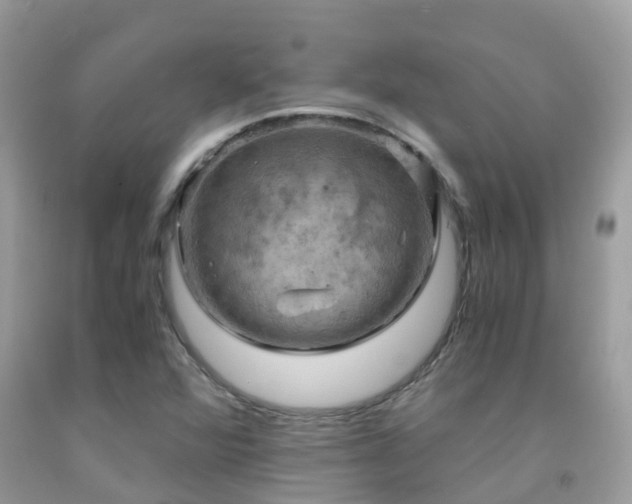 X0000091941360200709051514