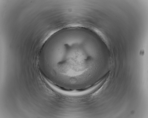 X0000091941361200709051514