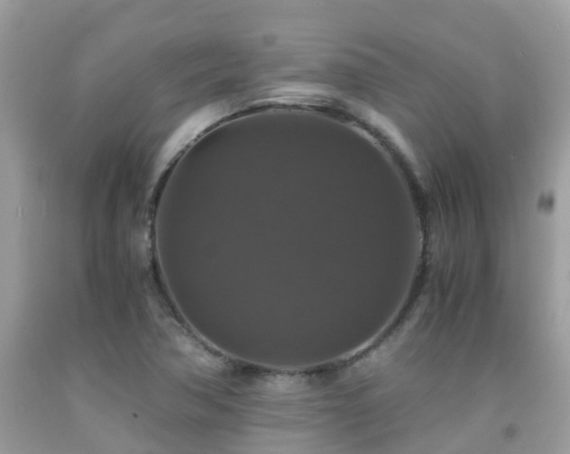 X0000091941362200709051514