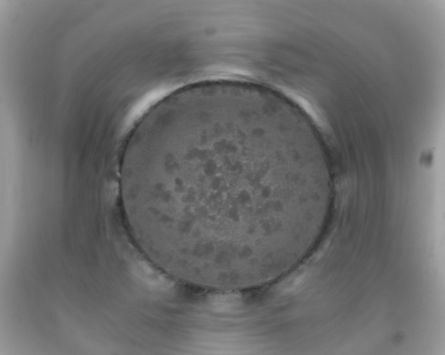 X0000091941363200709051514