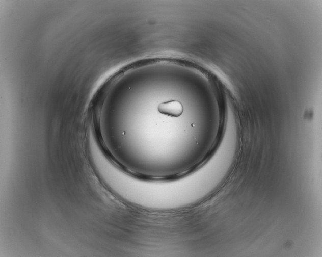 X0000091941364200709051514