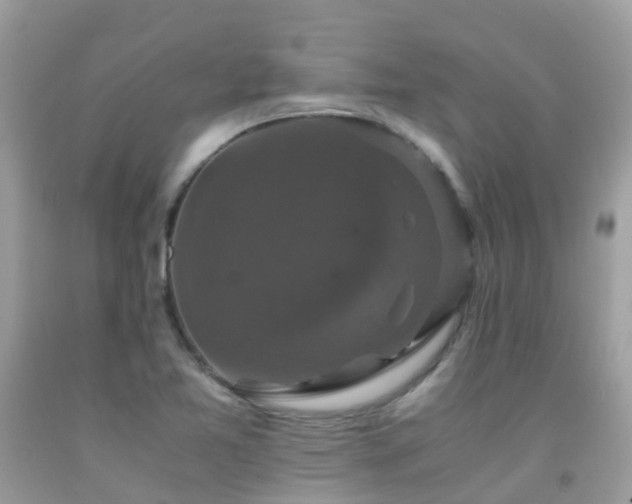 X0000091941365200709051514