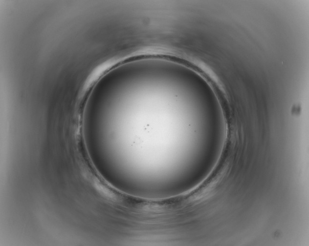 X0000091941366200709051514