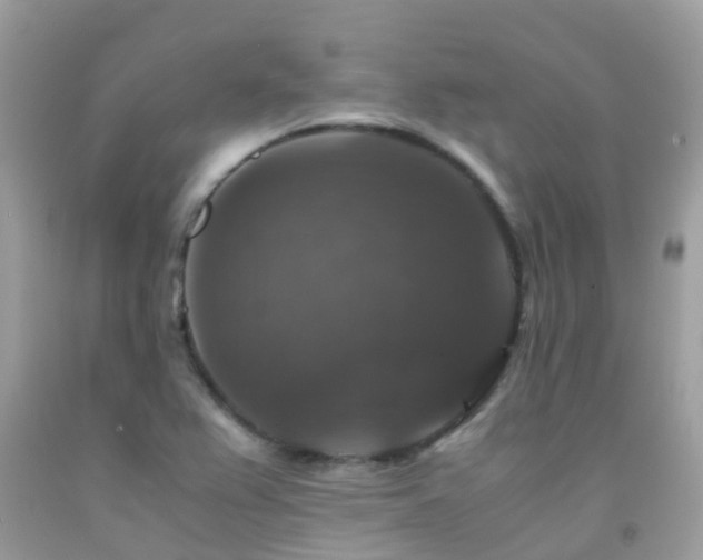 X0000091941367200709051514