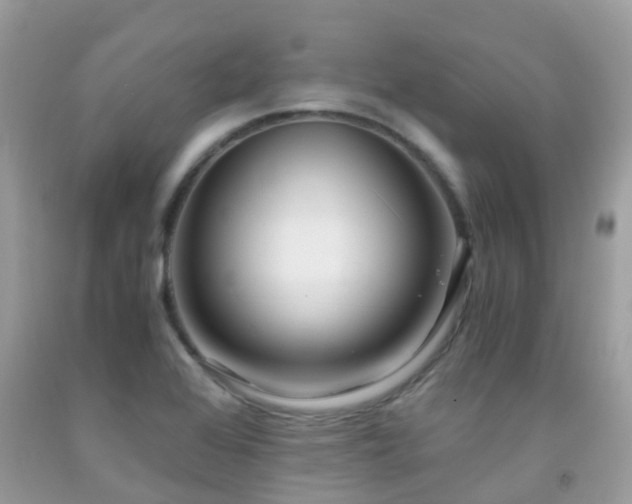 X0000091941368200709051514