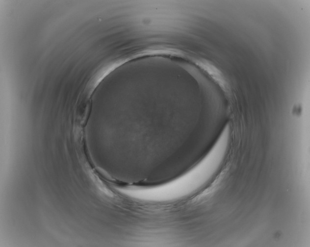 X0000091941369200709051514