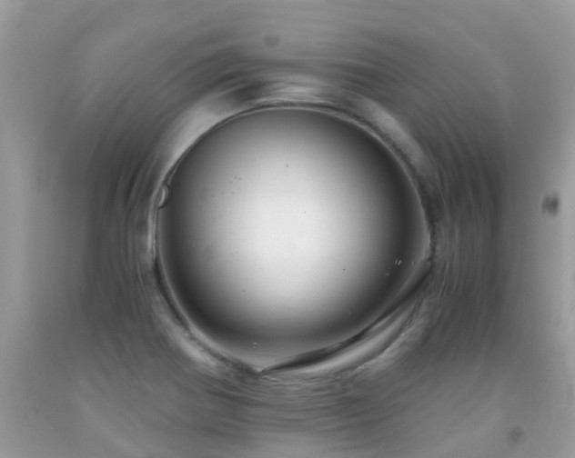 X0000091941370200709051514