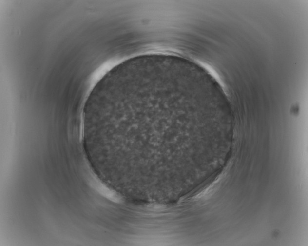 X0000091941371200709051514