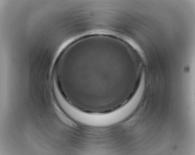 X0000091941372200709051514