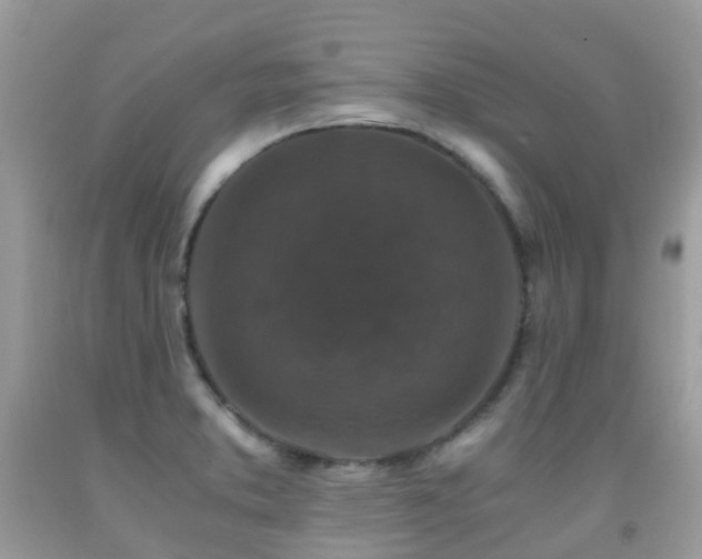 X0000091941373200709051514