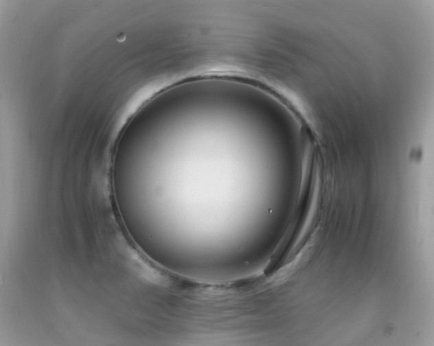 X0000091941374200709051514