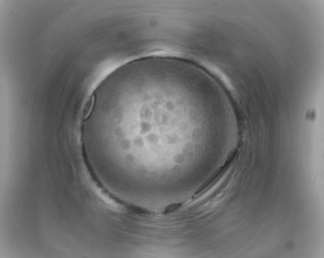 X0000091941375200709051514