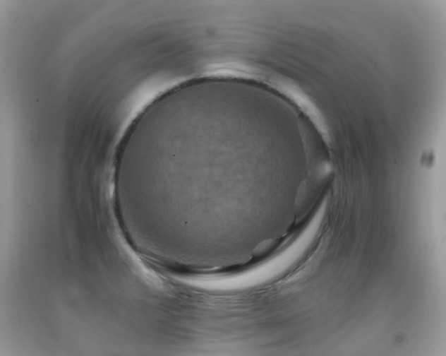 X0000091941376200709051514