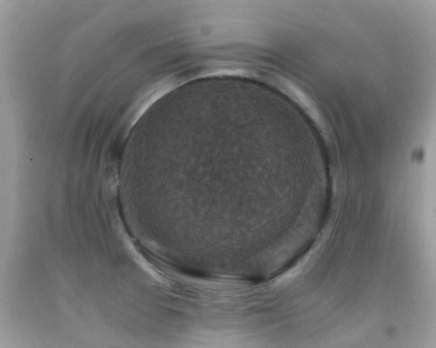 X0000091941377200709051514