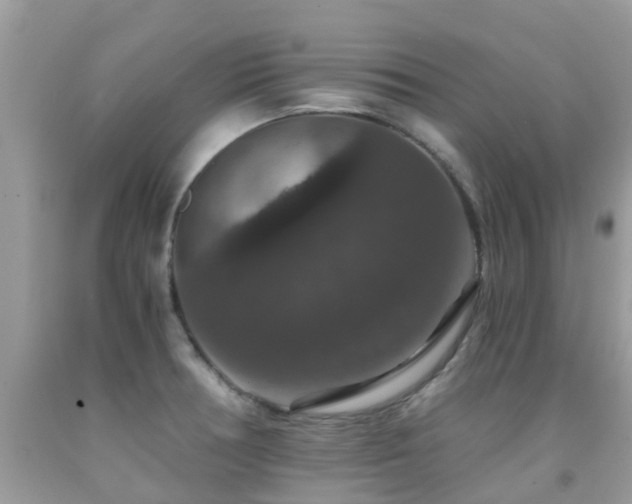 X0000091941378200709051514