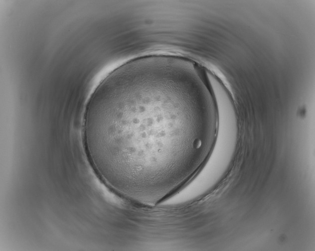 X0000091941379200709051514