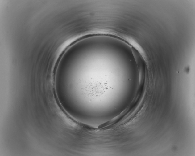 X0000091941380200709051514